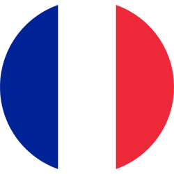 france flag round xs